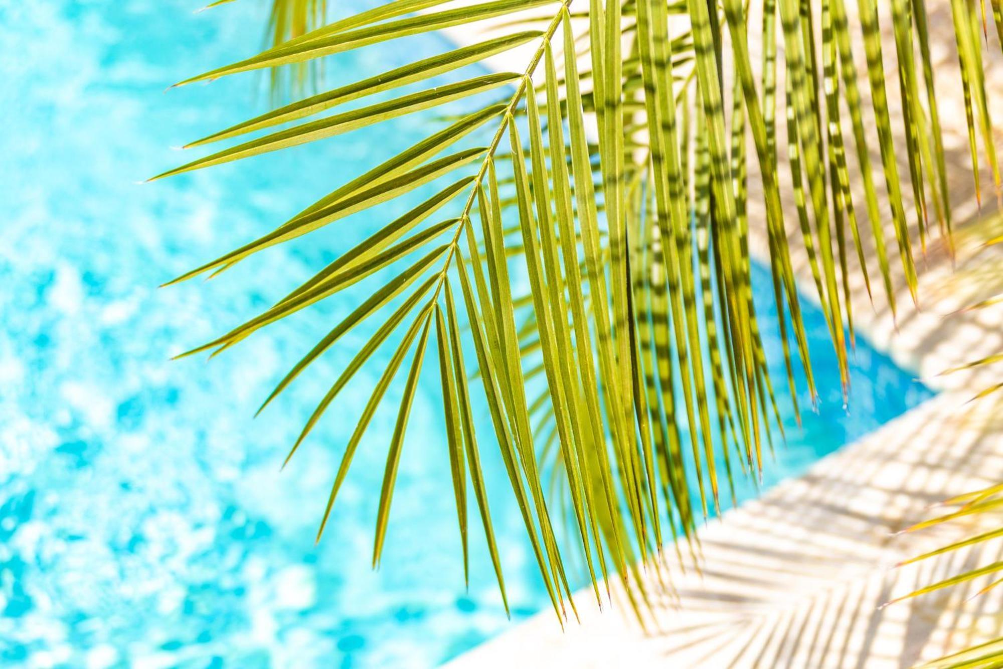 Paradise Apartments - Curacao Fontein Εξωτερικό φωτογραφία